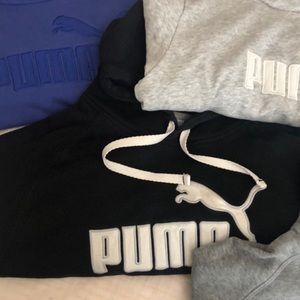 Puma